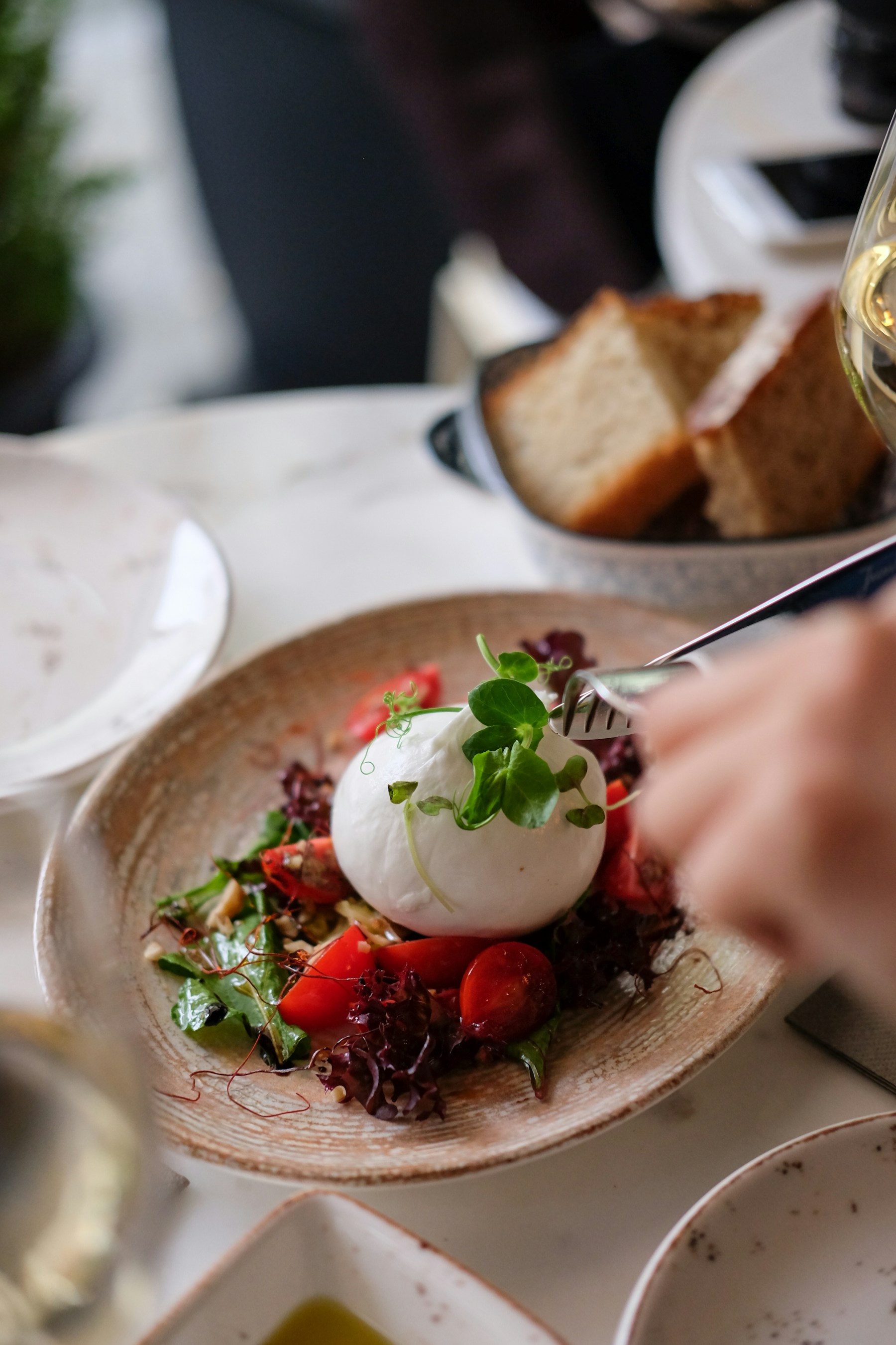Burrata, tomates et basilic